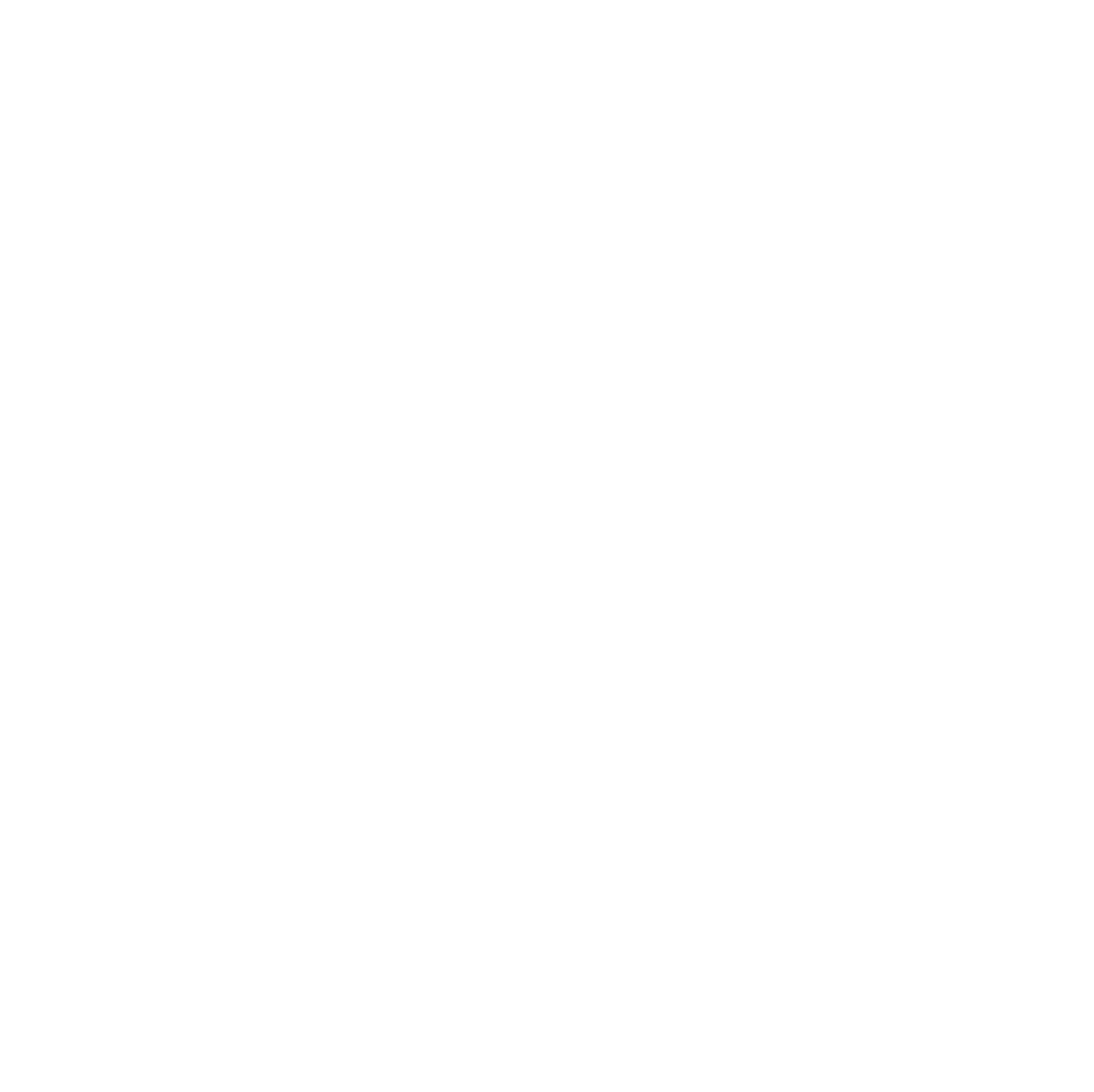 logo_langres&Co_allege_blanc